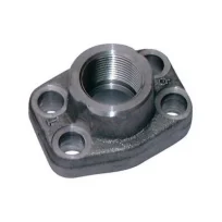 BRIDA SAE ROSCADA 3000 3"1/2