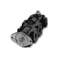 Bomba de engranaje múltiple