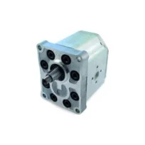 Bomba de engranaje simple